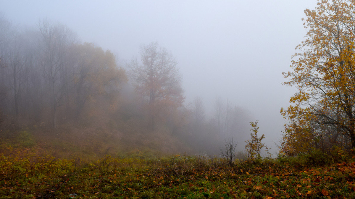 Prognoza pogody na piątek - 05.11