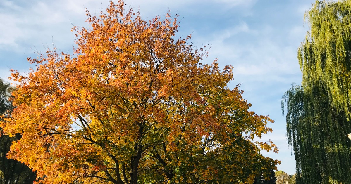 ¿Tendremos un otoño temprano?  Ha aparecido una señal alarmante