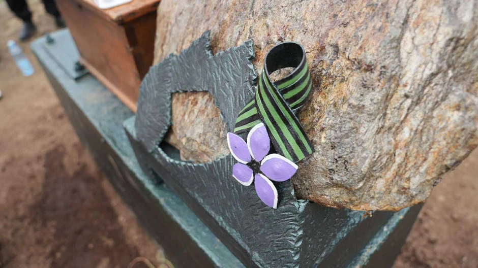 Kameni beleg donet sa Kajmakčalana i Natalijina ramonda