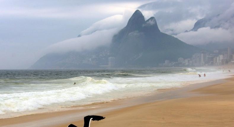 A seagul flies over Ipanema beach on a cloudy day in Rio de Janeiro