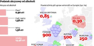 Legalna produkcja wina w Polsce niemożliwa. Celnicy mają nad nią władzę