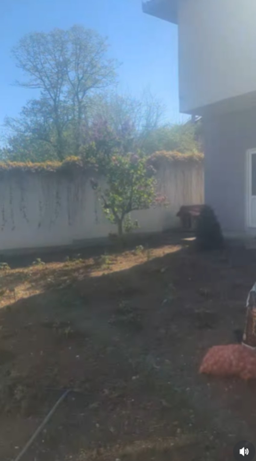 Zorica Marković pokazala imanje