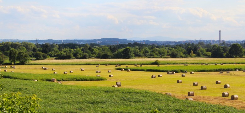 Sprawdzą skażenie terenów w Krakowie? Prezydent: znam temat