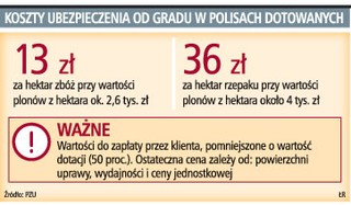 W tym roku 100 mln zł wypłat z ubezpieczeń na wypadek gradu