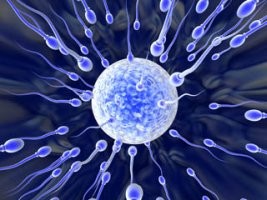 fogamzasgatlas2-kicsi-d000001EFdc825b02d403