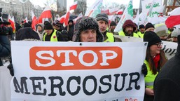 unia zgadza się na umowę z mercosur. kto jest "winny" w polsce?