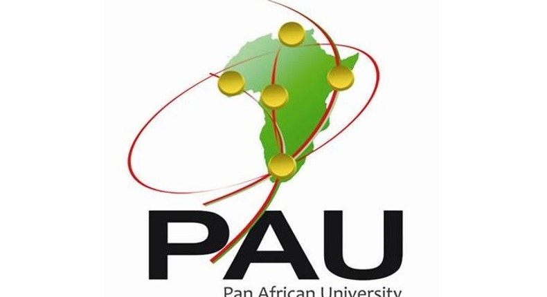 Pan-African University