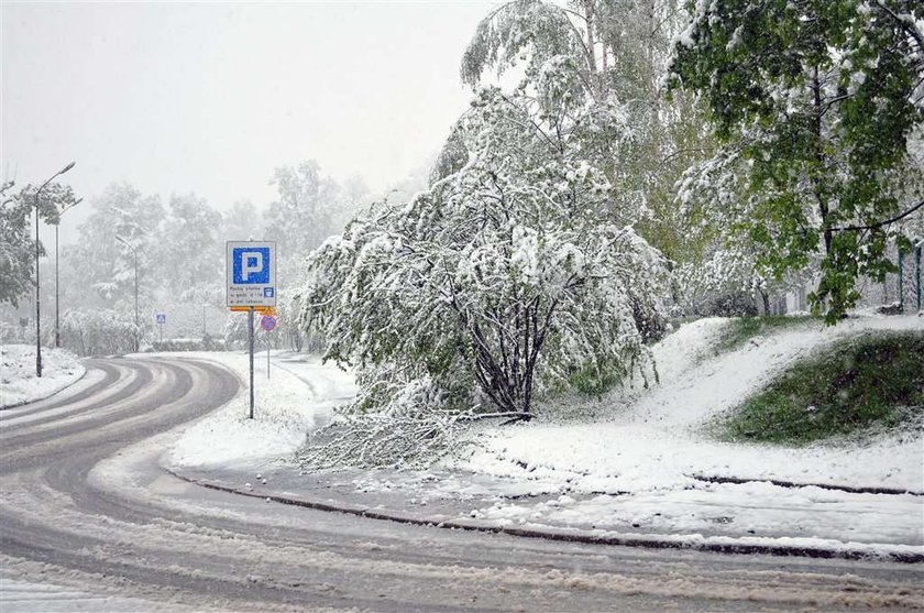 Pogoda oszalała. W maju pada śnieg! FOTO