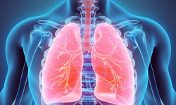 Astma dotyczy najdrobniejszych dróg oddechowych