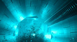 Nemo 33