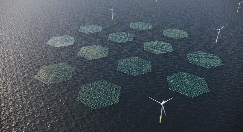 Illustration of an Offshore Wind Farm combined with floating solar, which will be constructed by Anansi off the coasts of Ningo and Anloga