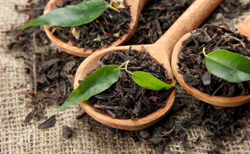 2.	Antidotum na owady