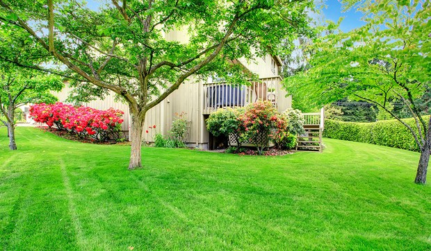 glupi shutterstock 188234687