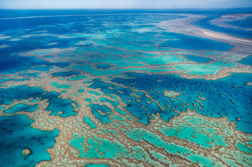 Wielka Rafa Koralowa w Australii. Fot. Kieran Stone/Getty Images