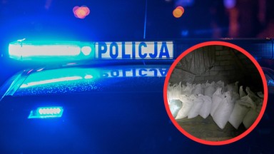 Policjanci zajrzeli stodoły. Takiej ilości papierosów dawno nie widzieli [WIDEO]