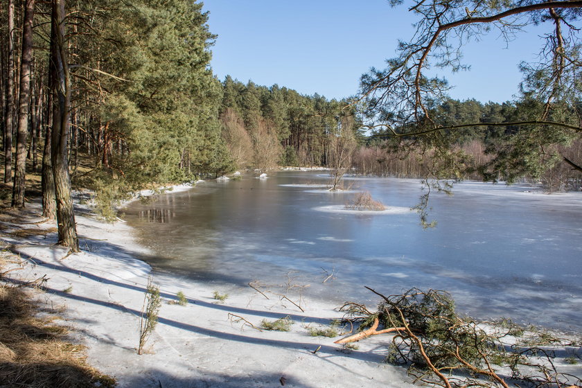 Ta rzeka pojawia się raz na kilkanaście lat