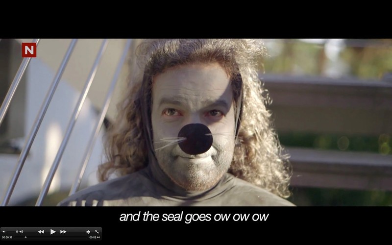 Kadry z klipu do 'What does the Fox say?'