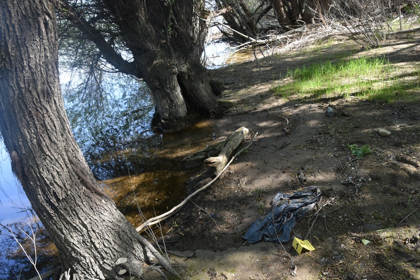 Zabranjeno preuzimanje fotografija bez saglasnosti redakcije Blic  (5)