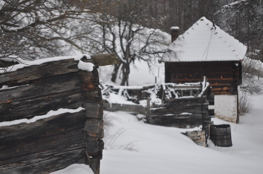 Dobroselica, pusto i staračko zlatiborsko selo