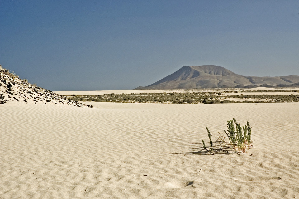 Fuerteventura