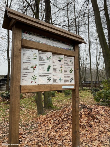 Ścieżka przyrodniczo-edukacyjna „Tajemnice Pszczyńskiej Puszczy” w Pokazowej Zagrodzie Żubrów w Pszczynie - 02.12.2022 - autor: Michał Makowski