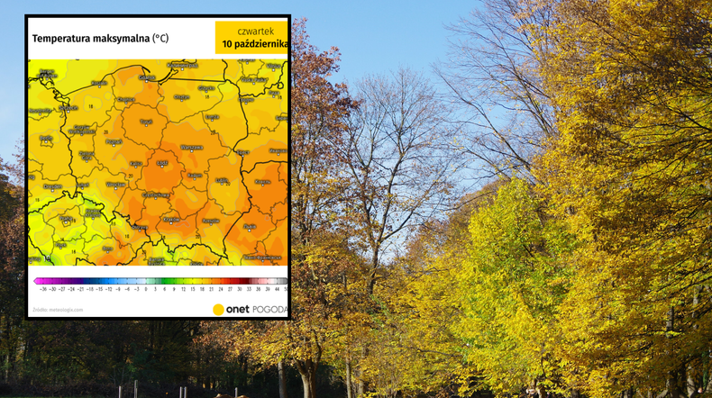 Prawie 25 st. C i słońce. Pogoda niedługo nagle się zmieni (mapa: meteologix.com)