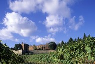 italy, tuscany, gaiole in chianti, broglio castle 