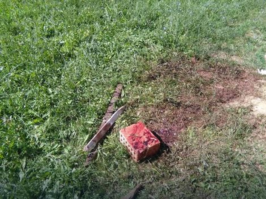 Mesto napada pit bulova