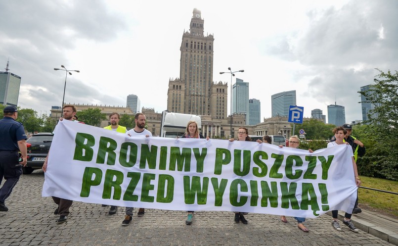 Manifestacja została zorganizowana przez Greenpeace, Polską Zieloną Sieć oraz organizację Akcja Demokracja. Rozpoczęła się na pl. Defilad, by zakończyć się przed siedzibą Ministerstwa Środowiska. "Puszcza Białowieska to unikatowy i niepowtarzalny las. Niestety musi zmagać się z największym zagrożeniem - ludźmi, którzy próbują zrobić z niej plantację desek" – oceniono na stronie wydarzenia w mediach społecznościowych. "Nie ma naszej zgody na niszczenie tego unikalnego miejsca. Została przekroczona czerwona linia - pod piły trafiają drzewostany ponad stuletnie" – wskazano.