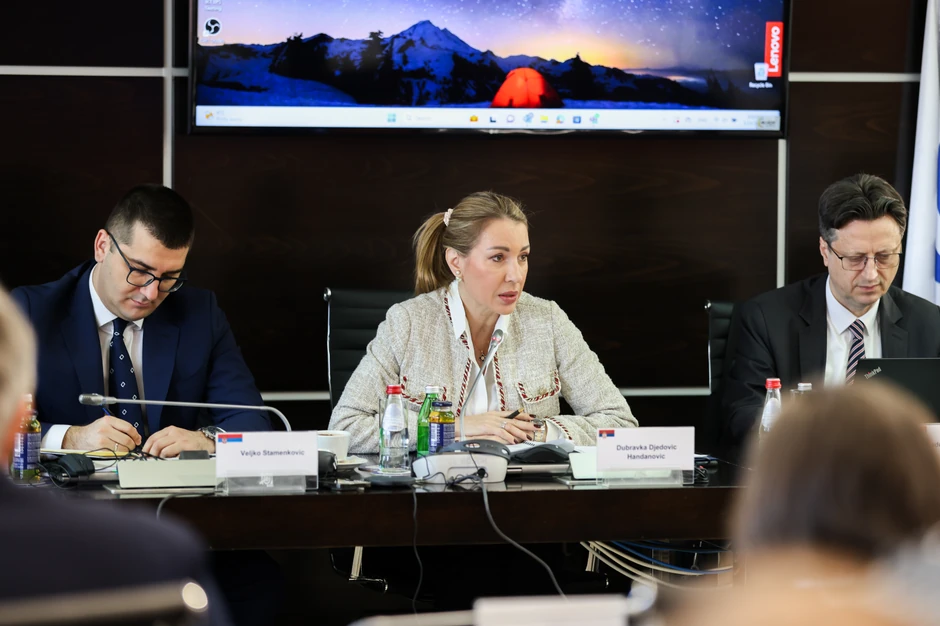 Dubravka Đedović Handanović