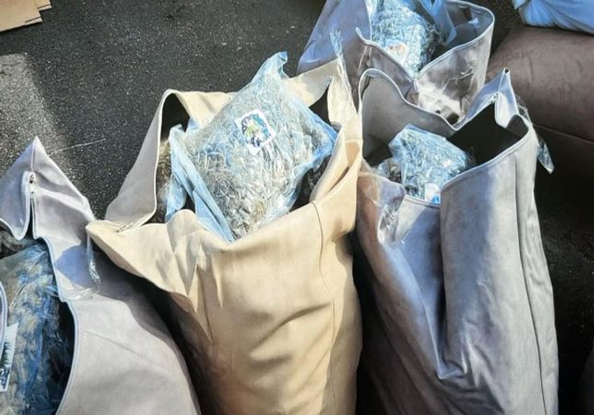 Hapšenje ogranka Balkanskog kartela