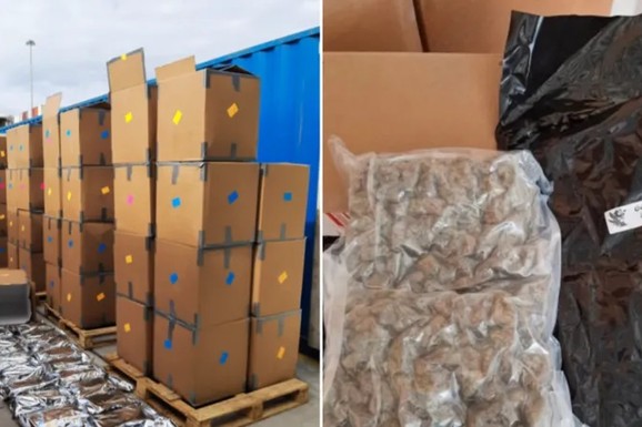 (FOTO) ZAPLENJENA DROGA VREDNA VIŠE OD 160 MILIONA EVRA Rekordna akcija policije: U kutijama nađeno 12 TONA, uhapšene tri osobe, među njima i ŽENA