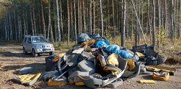 Horror w lasach! Zorganizowane gangi zwożą odpady