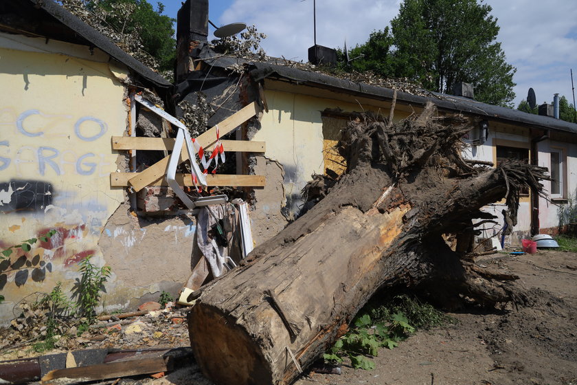 Dramat rodziny z ulicy Przylesie w Łodzi. Drzewo przygniotło dom w czasie nawałnicy