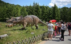 Oto najpopularniejsze atrakcje regionu. Wygrywa JuraPark w Bałtowie [LISTA]