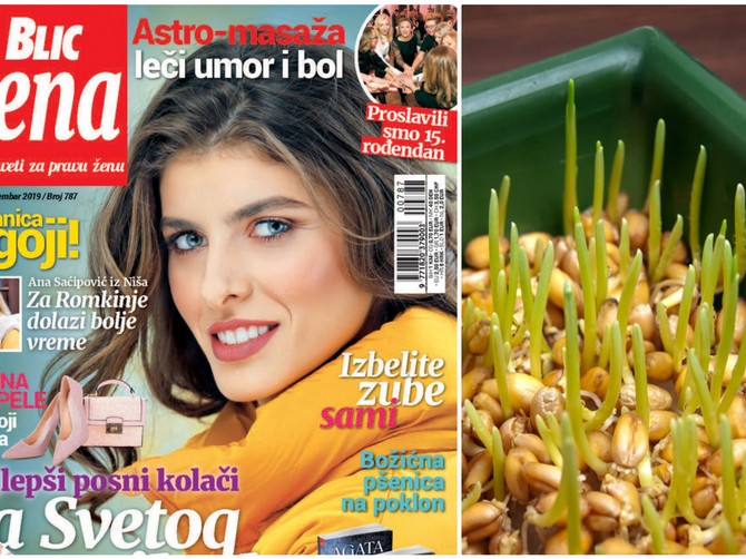 U novoj Blic ženi potražite božićnu pšenicu