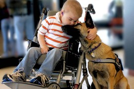 "Udomili smo psa da pomogne mom bolesnom sinu, ali KAD SMO VIDELI ŠTA MU JE URADIO - SKAMENILI SMO SE": Priča o Lukasu koja je slomila ljude