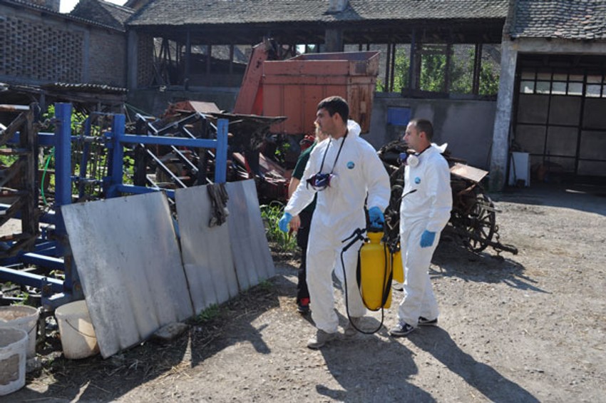  Porodica Toađer ima 40 grla stoke i živi u Ovči generacijama već 280 godina