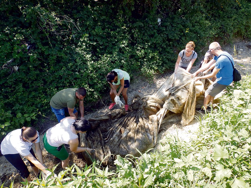 Čišćenje Crnišavske reke