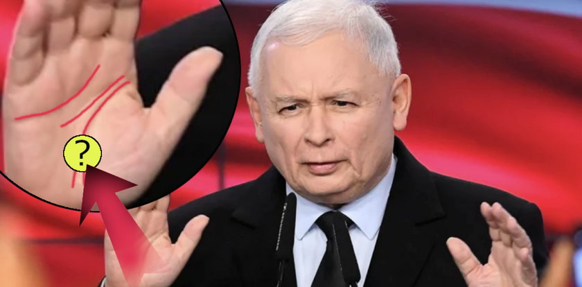 Niezwykłe cechy Jarosława Kaczyńskiego. Politycy komentują, co mówią dłonie prezesa PiS