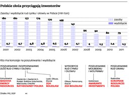 Polska staje się surowcowym "Eldorado". Inwestorów przyciągają metale ziem rzadkich
