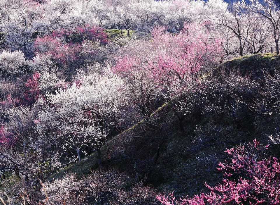 Explosion (pol. Eksplozja) - Hideyuki Katagiri / 2014 National Geographic Traveler Contest