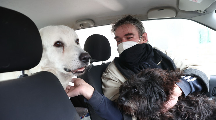 László két hete él a kocsijában két kutyájával / Fotó: Pozsonyi Zita