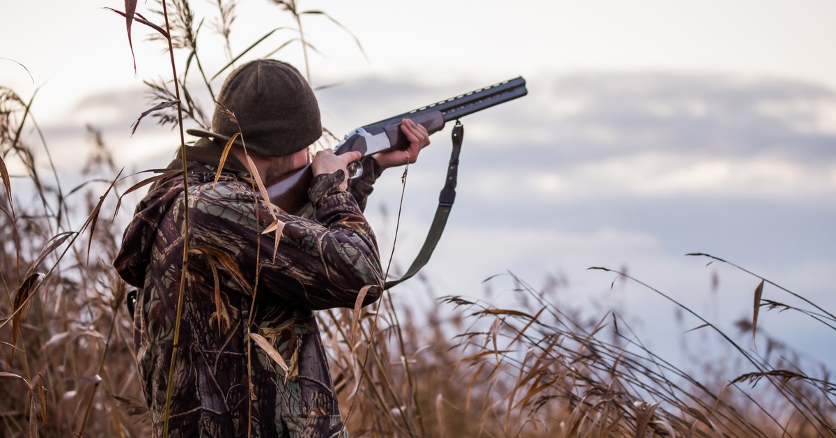 Badania dla myśliwych, jest projekt ustawy Polski 2050. Marcin Możdżonek: to populizm