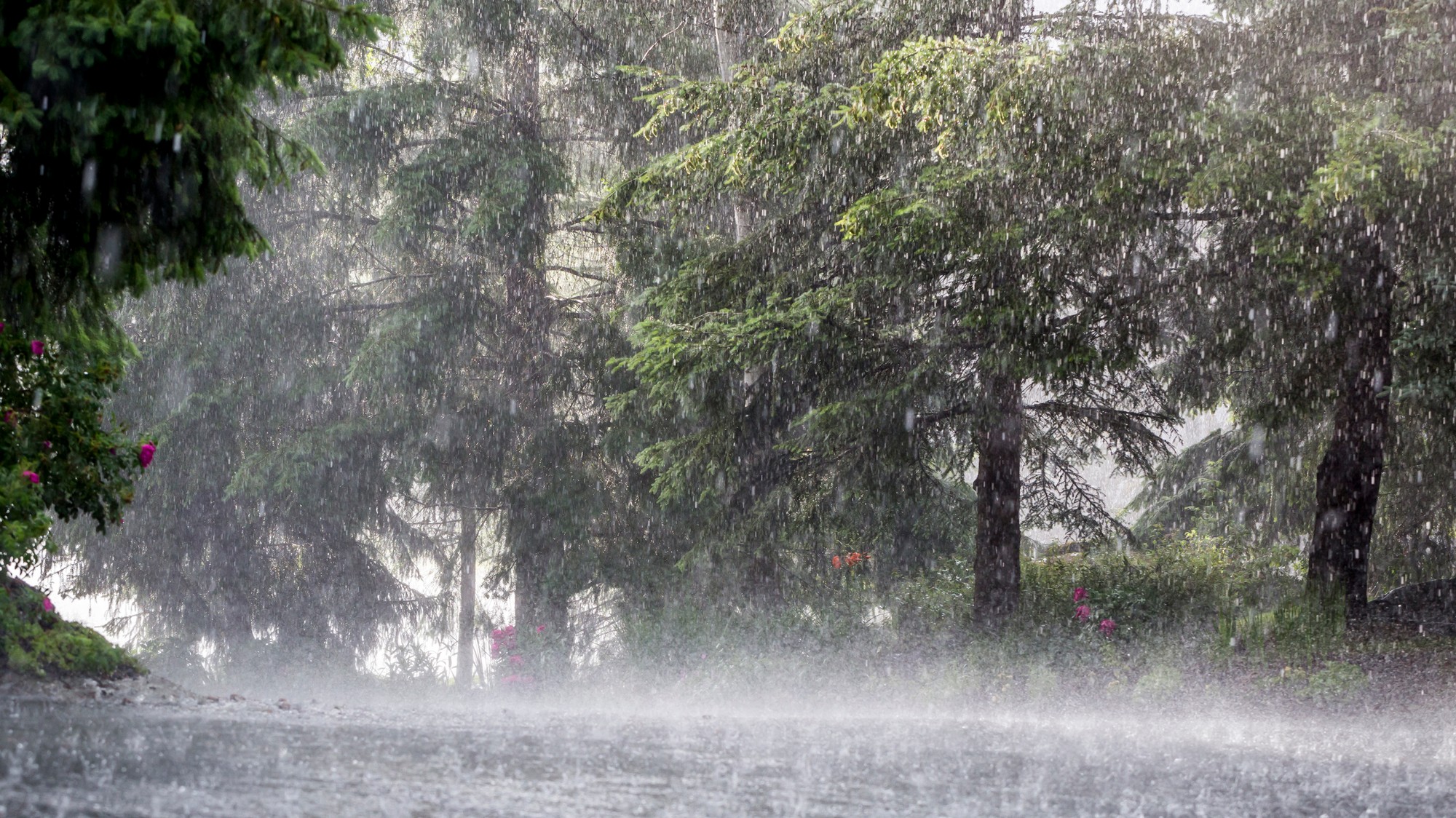 Raining windy