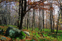 Beskid Niski - góry bez turystów