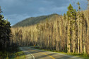 Galeria USA - Park Narodowy Yellowstone, obrazek 3