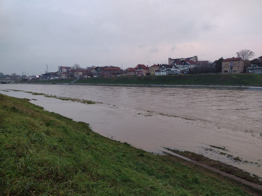 Retka vrsta insekta pronađena je na obali Nišave kod Dimitrovgrada