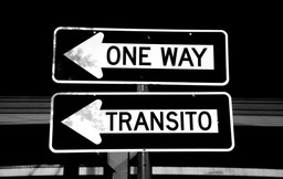 Psie pieniądze - psie życie. Czy imigranci przyczynią się do upadku USA?