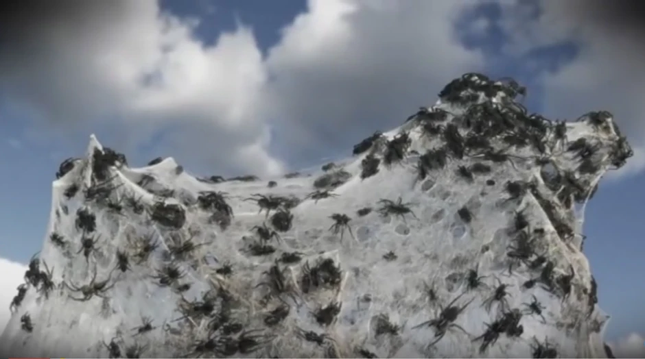 Neverovatni prizori u Tasmaniji